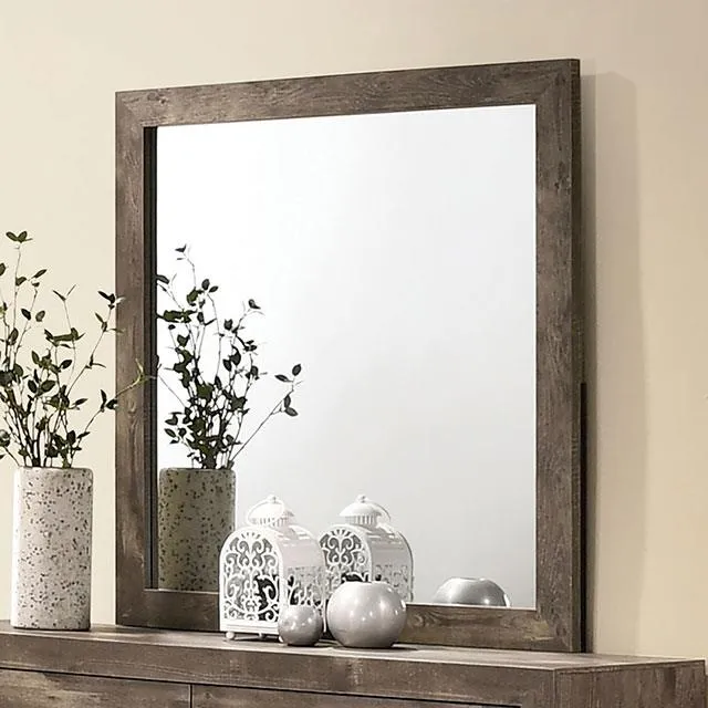 Furniture of America Larissa Dresser Mirror CM7149M