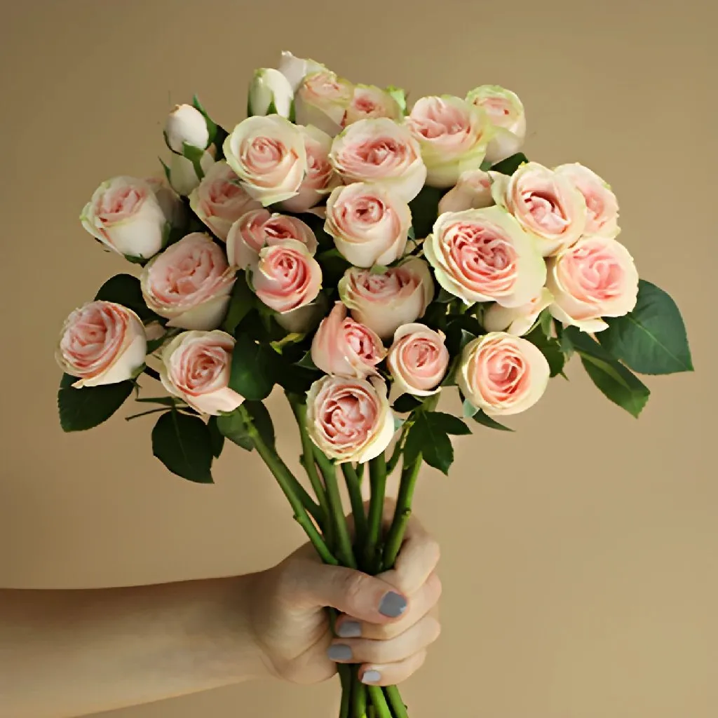 Soft Pink Spray Rose