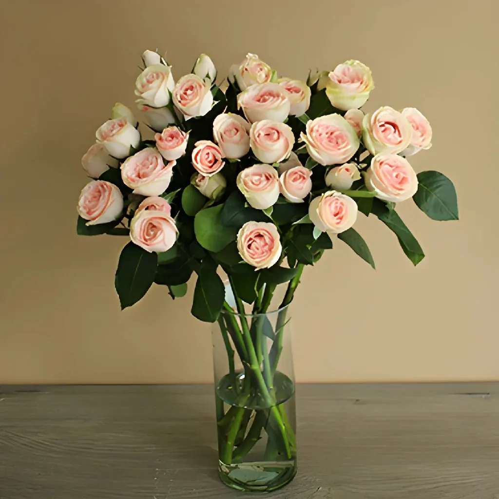 Soft Pink Spray Rose